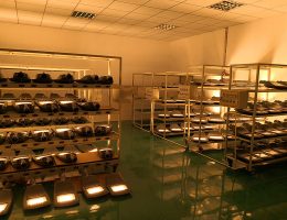 زاړه ازموینه