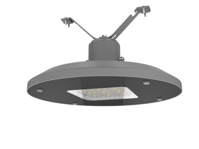 ټول په یوه باغ کې رڼا