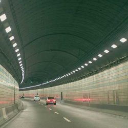 د لیډ فلډ لائټ قضیه3